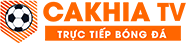 Tải Youtube-tructiepbongdahomnay